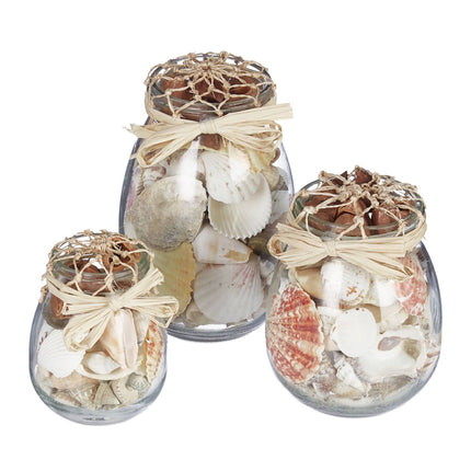 Seashell Jar Set of 3