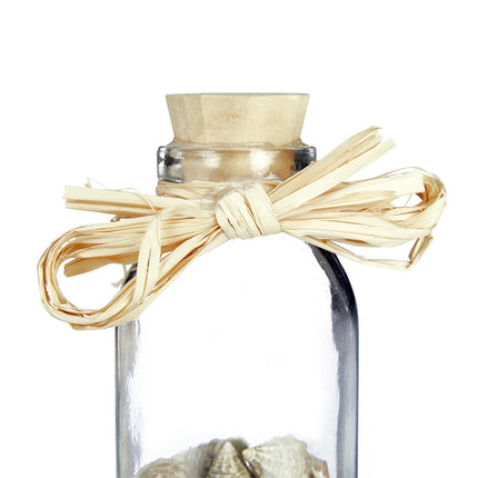 Seashells in Glass Bottles – Coastal Home Decor