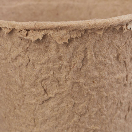 Seed pots 80 pcs.