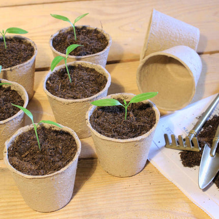 Seed pots 80 pcs.