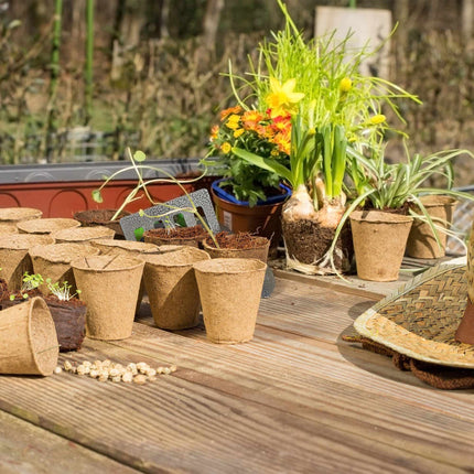 Seed pots 80 pcs.