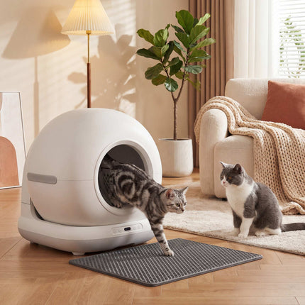 Self-Cleaning Cat Litter Box, XL 72L with HD Camera & App Control