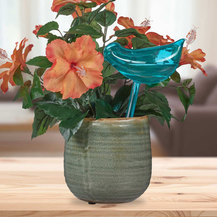 Self-watering bird set of 4