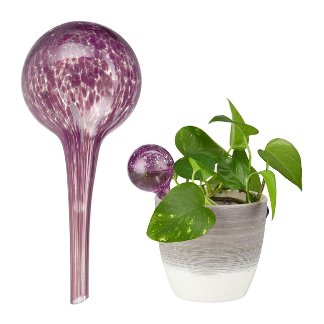 Self-watering glass set of 2