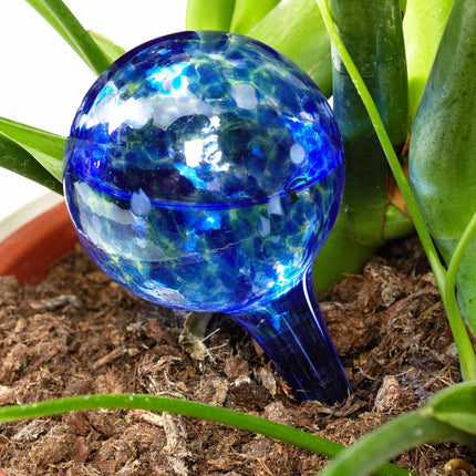 Self-watering glass set of 2