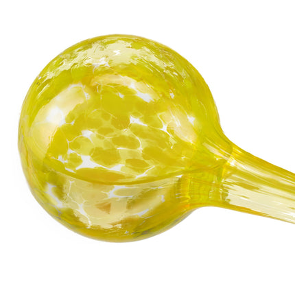 Self-watering glass set of 2