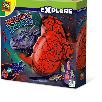 Ses Hatching Dragon