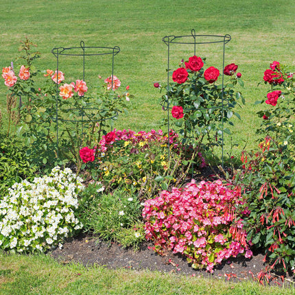 Set of 4 Plant Support Grow Rings