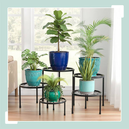 Set of 5 Round Carbon Steel Plant Stands