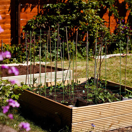 Set of 5 Round Tomato Trellises, 90 cm