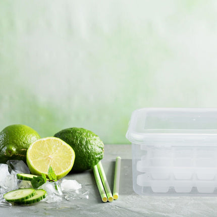 Set of ice cube molds with box and lid