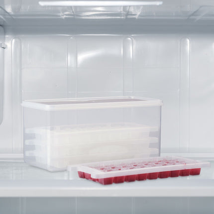 Set of ice cube molds with box and lid