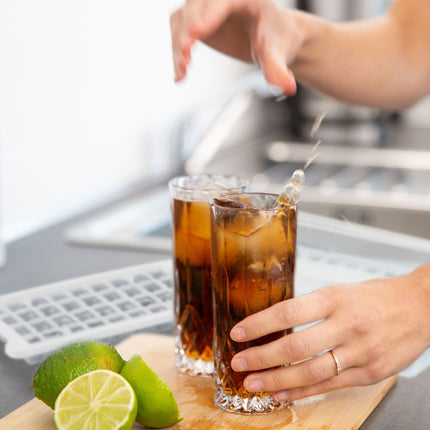 Set of ice cube molds with box and lid
