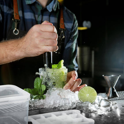 Set of ice cube molds with box and lid