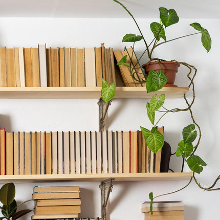 Shelf angle set with 2 keys