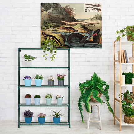 Shelf for plants 5 shelves