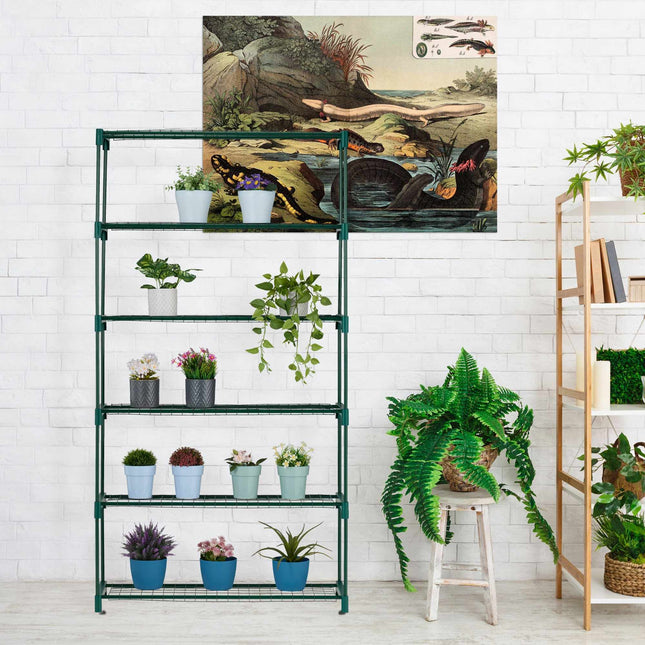 Shelf for plants 6 shelves
