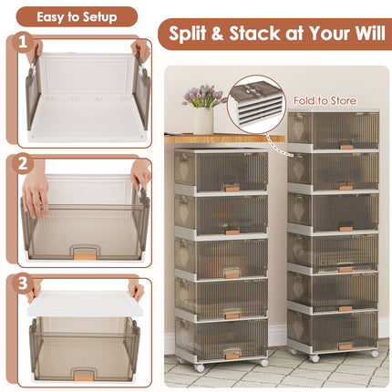 Shoe Rack Organizer, Foldable 6-Tier, Clear Doors, Wheels