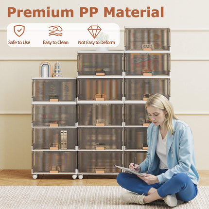 Shoe Rack Organizer, Foldable 6-Tier, Clear Doors, Wheels
