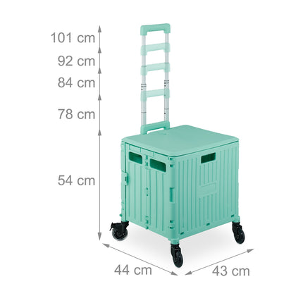 Shopping cart with hood