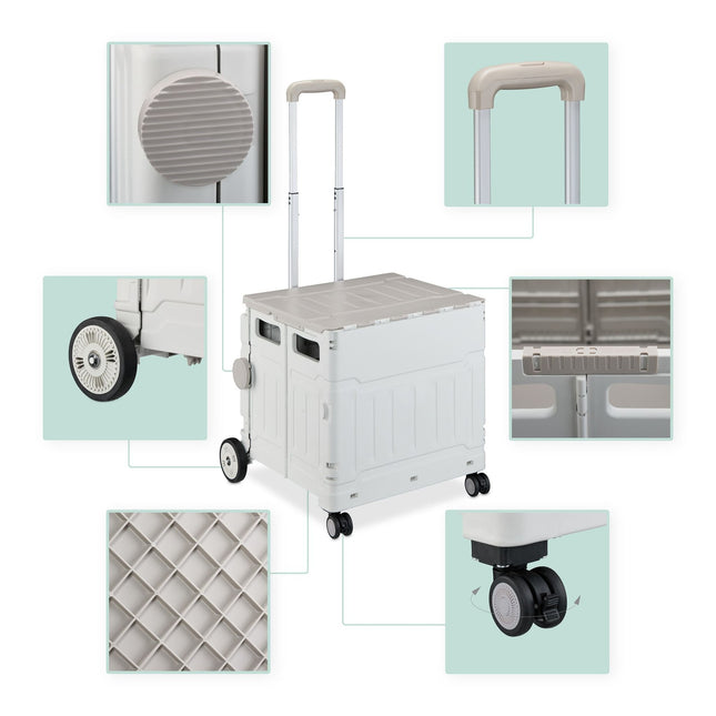 Shopping cart with lid