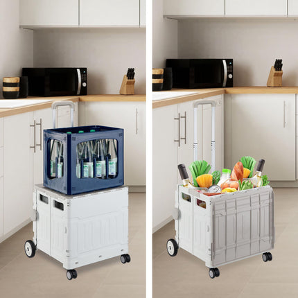 Shopping cart with lid