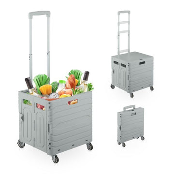 Shopping cart with telescopic handle