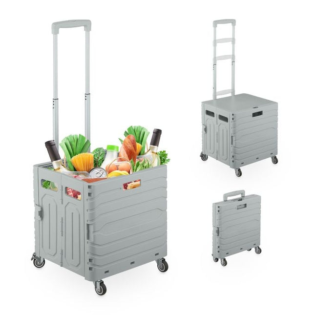 Shopping cart with telescopic handle