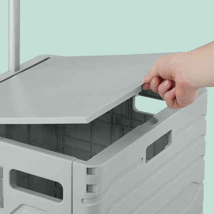 Shopping cart with telescopic handle