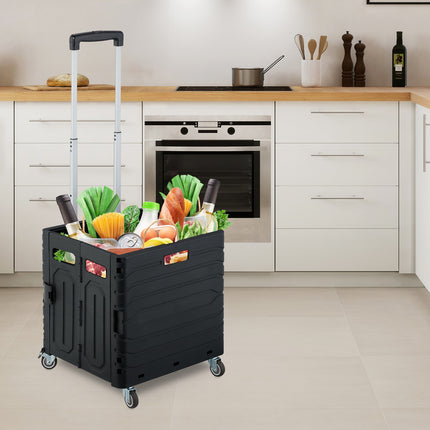 Shopping cart with telescopic handle