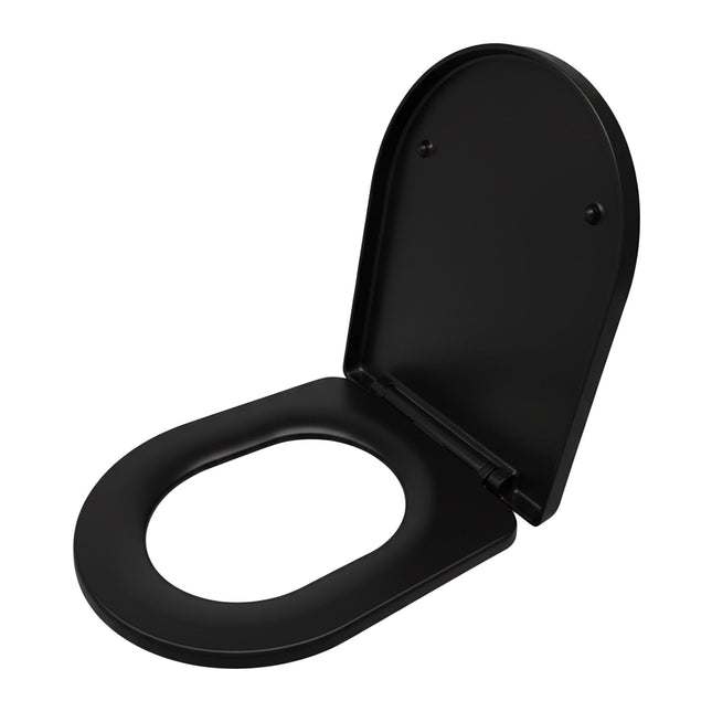 Toiletbril van Duroplast met softclose-functie, afneembaar, universele pasvorm