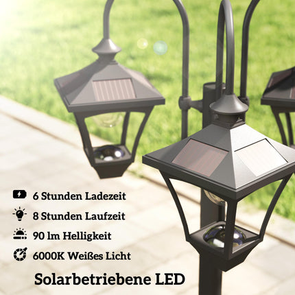 Solar Garden Lamp with Adjustable Height and Planter