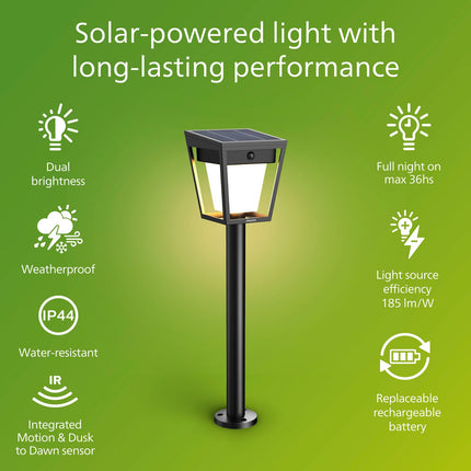 Solar LED Garden Light, Dual Brightness, Black, IP44