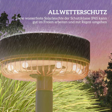 Pack of 3 Solar Garden Lights, Warm White, IP65 Waterproof