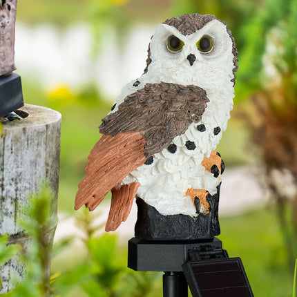 Solar owl with woodpecker