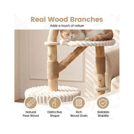 Solid Wood Cat Tree with Real Branches and Scratching Posts, 41 Inch, Beige