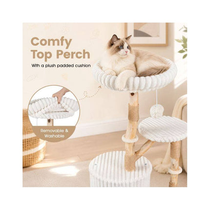 Solid Wood Cat Tree with Real Branches and Scratching Posts, 41 Inch, Beige