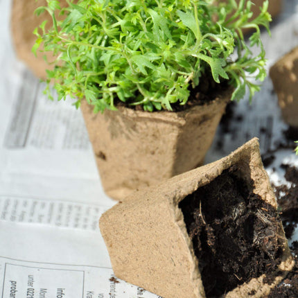 Square fiber pots