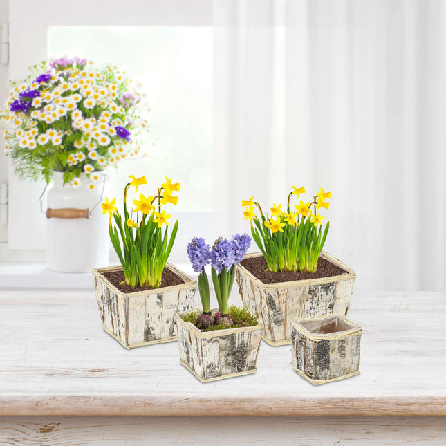 Square flowerpot Birch Set of 4