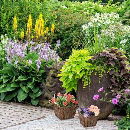 Square wooden flower pot - set of 3