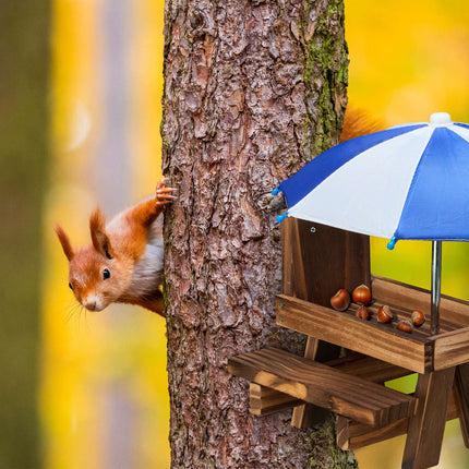 Squirrel Picnic Table Feeder with 2 Umbrellas