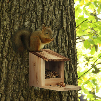 Squirrel feeder Wood