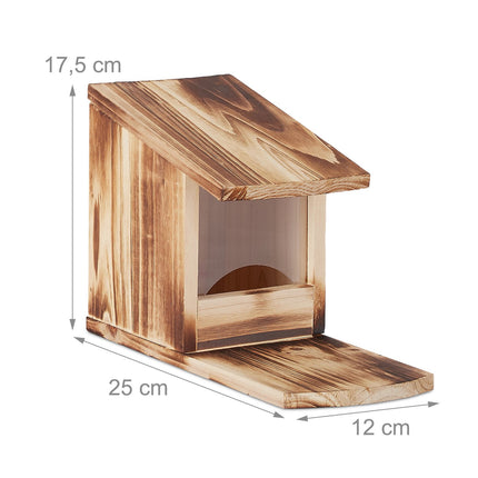Squirrel feeder for placement