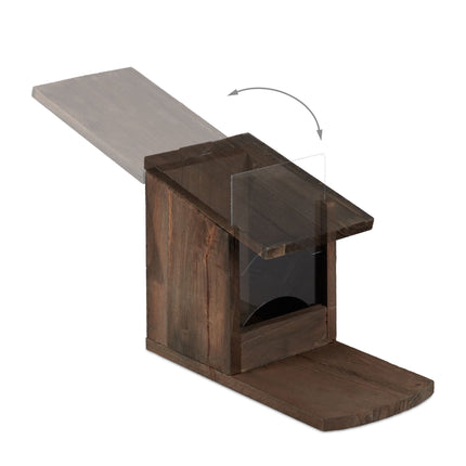 Squirrel feeder for placement