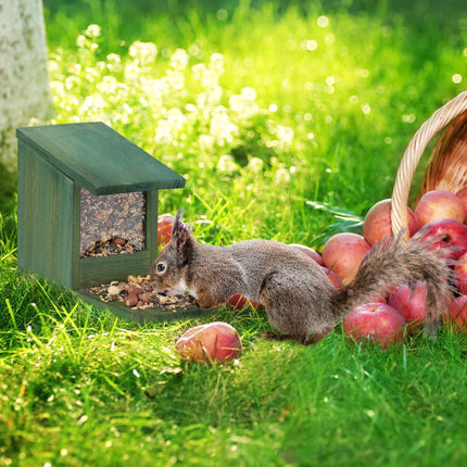 Squirrel feeder for placement