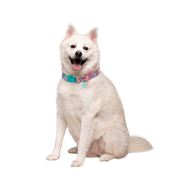 Squishmallows Dog Collar, Large