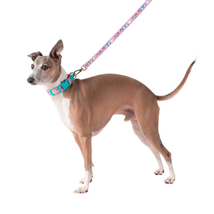 Squishmallows Dog Collar, Small