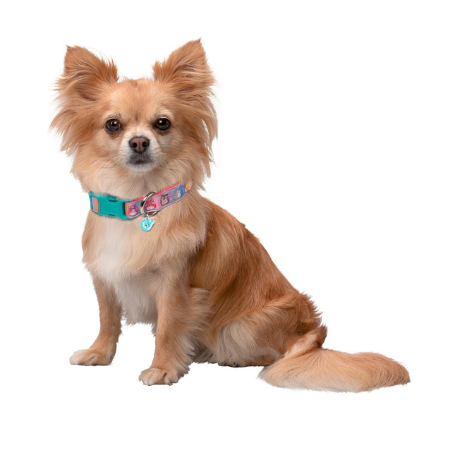 Squishmallows Dog Collar, Small