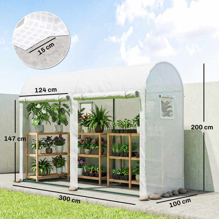 Steel Frame Greenhouse with Windows and Doors, 300x100x200 cm