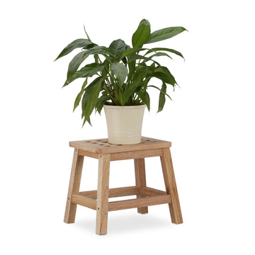 Step stool walnut